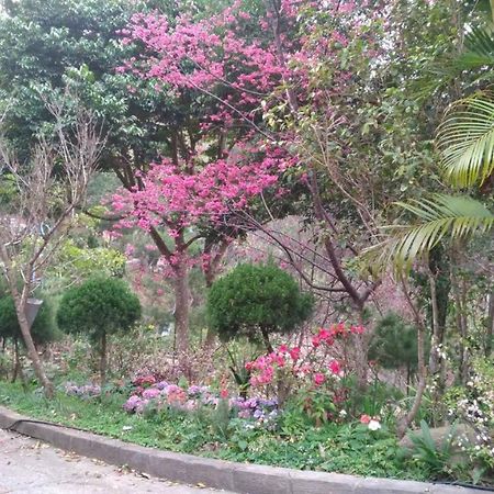 Ruyi Yuan Homestay Tongxiao Εξωτερικό φωτογραφία